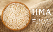 HMA Rice